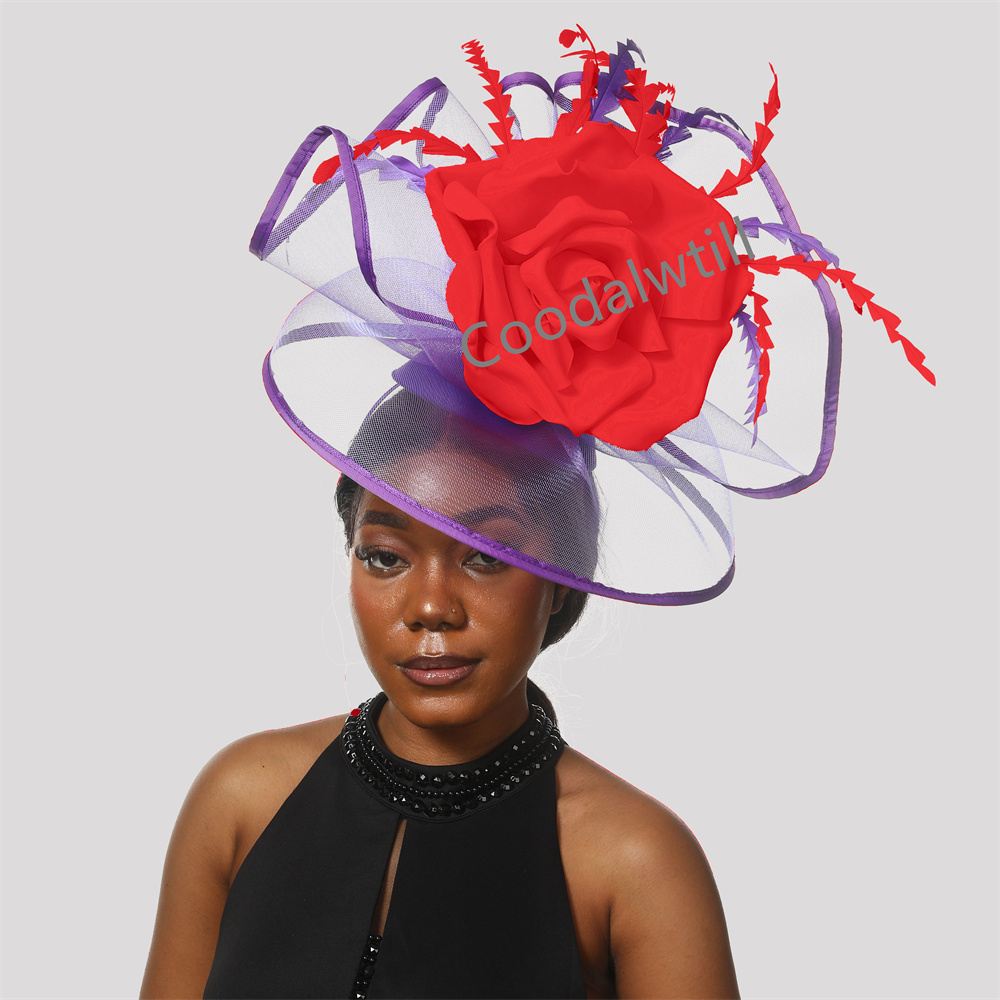 Grote Derby Fascinator Hoed Vr - Women'S Fashion Kentucky Derby recensie en prijs